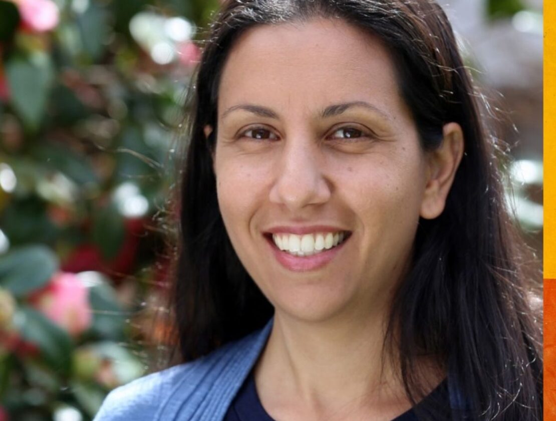 Nerina Rustomji Peacemindedly Archives - Peace Journalism