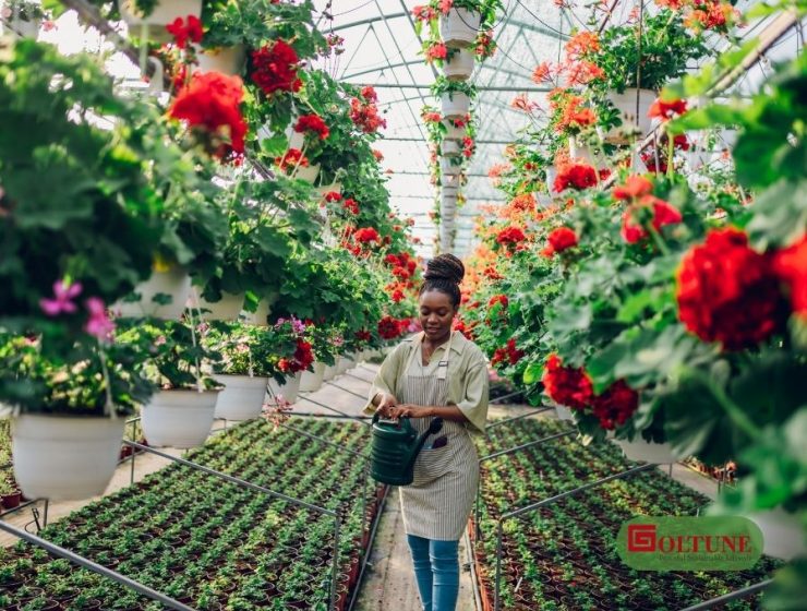 Goltune, Ramadan Prayers, Day 19: O' Allah, Multiply Your Blessings for Me