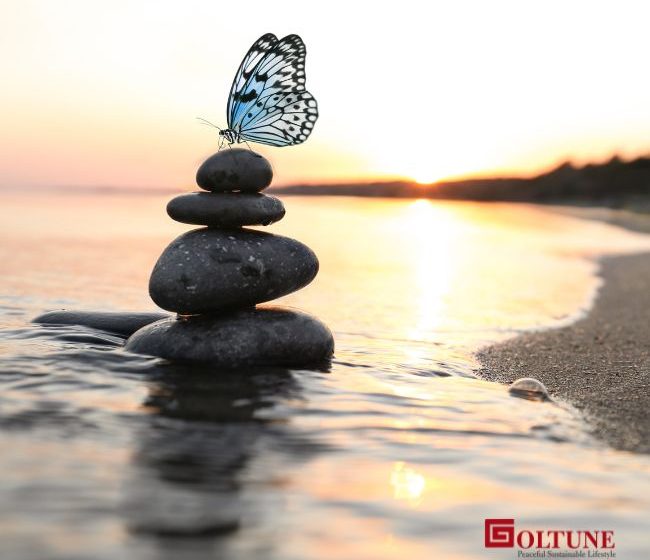 Ramadan Prayers, Day 24: Allah, Guide Me Do What Pleases You Ramadan prayers, Day 24 English O Allah, on this day, I ask You for letting me do what pleases You; and I seek refuge in You from what displeases You; I ask You to grant me the opportunity to obey You; O the One who is generous with those who seek. Arabic اَللّـهُمَّ إني أسألك فيهِ ما يُرْضيكَ، وأعوذ بِكَ مِمّا يُؤْذيكَ، وأسألك التَّوْفيقَ فيهِ لاِنْ أطيعك وَلا أعصيك، يا جَوادَ السّائِلينَ . Allahumma inni asaluka fihi mayurdika waauzubika mimma tuzika wasaluka fihi lianutika walaasika yajawadasailina. Farsi Ramadan Prayers, Day 24: Allah, Guide Me Do What Pleases You Please Pledge to Our Independent Peace Journalism. Goltune is editorially independent. We set our agenda. No one edits our editors. No one steers our opinion. This is important as it enables us to stay true to our values. Every contribution we receive from readers like you, big or small, goes directly into funding our journalism. Please support Goltune, large or small. Send your contributions to our PayPal account: editor@goltune.com Or, Click the link to pledge your support. Thank you, Goltune Editorial Team